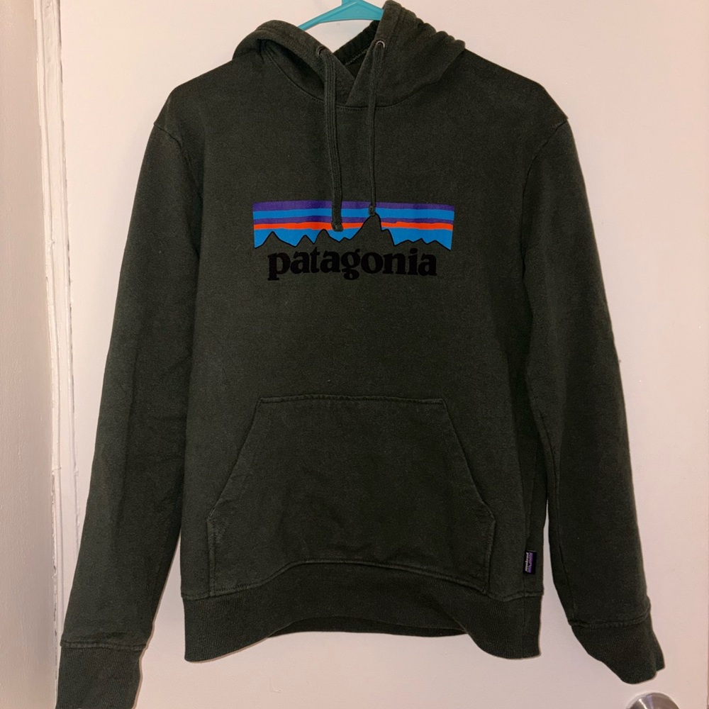Patagonia Green Hoodie Sweatshirt with Classic Logo